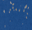 example6