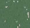 example6