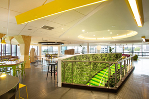 DDB Group