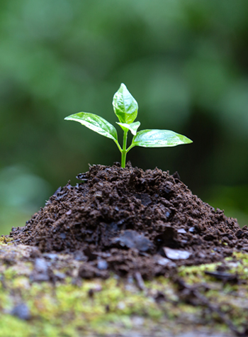 Impacto ambiental